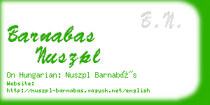 barnabas nuszpl business card